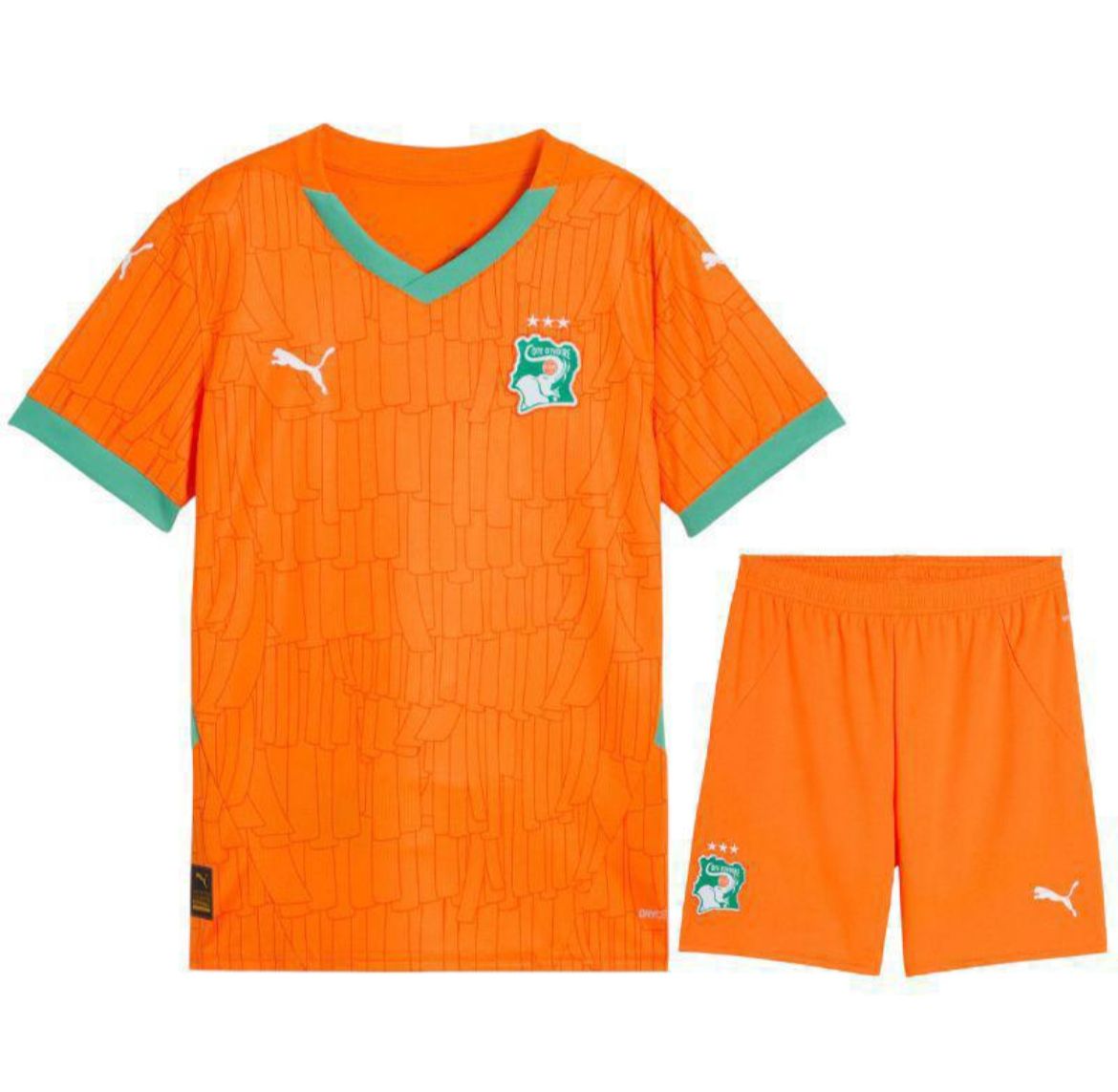 Maillot Côte d'Ivoire Domicile